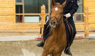 七月半称呼写法大全